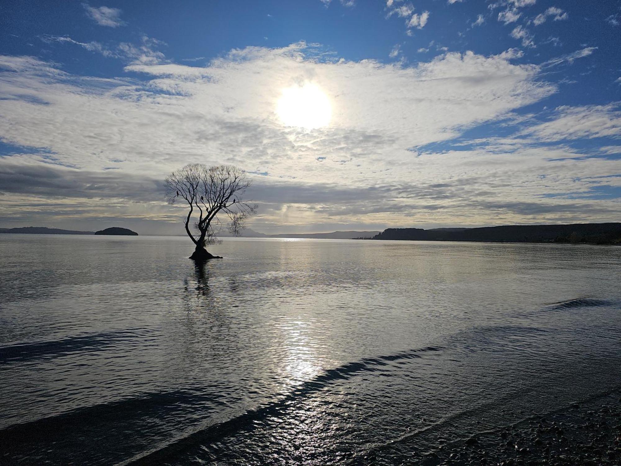 Vila 10 @ Wai Matangi Turangi Exteriér fotografie